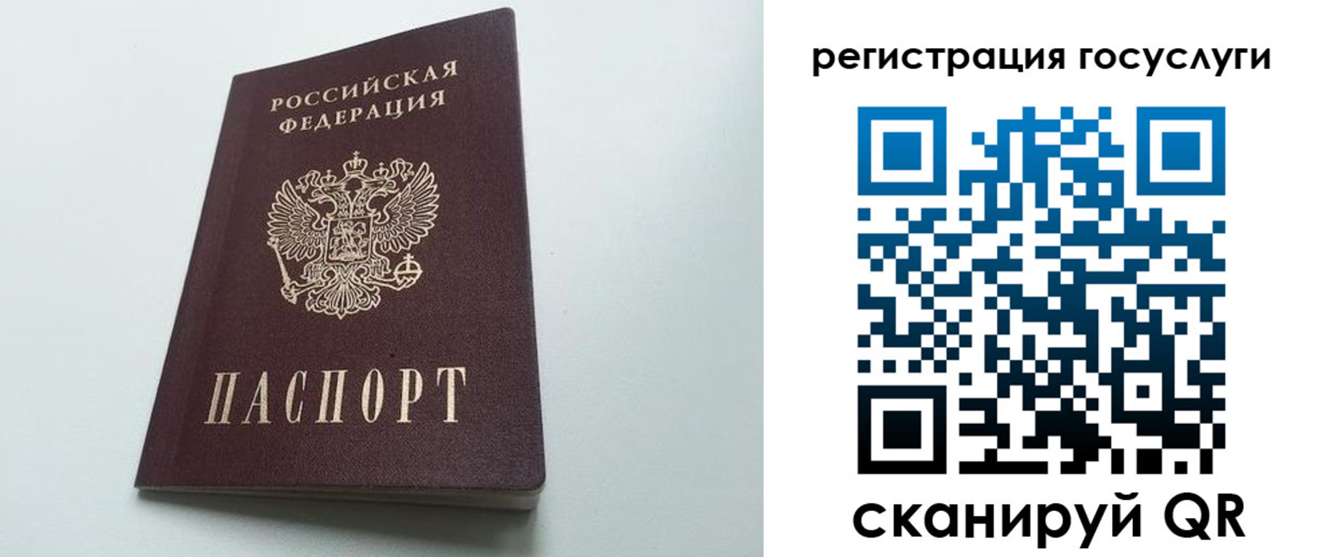 временная регистрация для школы в Белгородской области